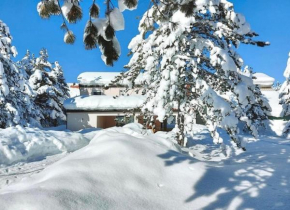 Vila Snjeguljica Blidinje 200 m od ski staze
